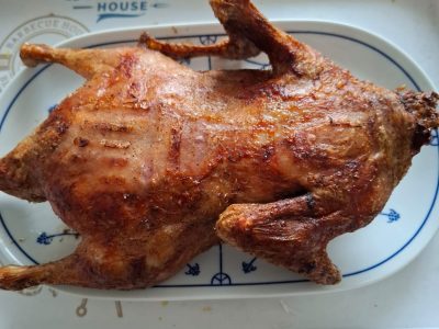Ente von Trixi